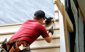 Best Siding Painting and Refinishing  in Jourdanton, TX